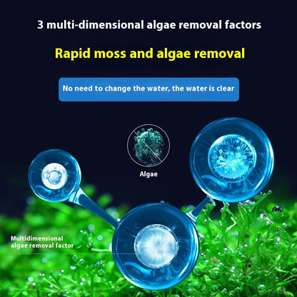 Ecological Algaecide for Aquariums