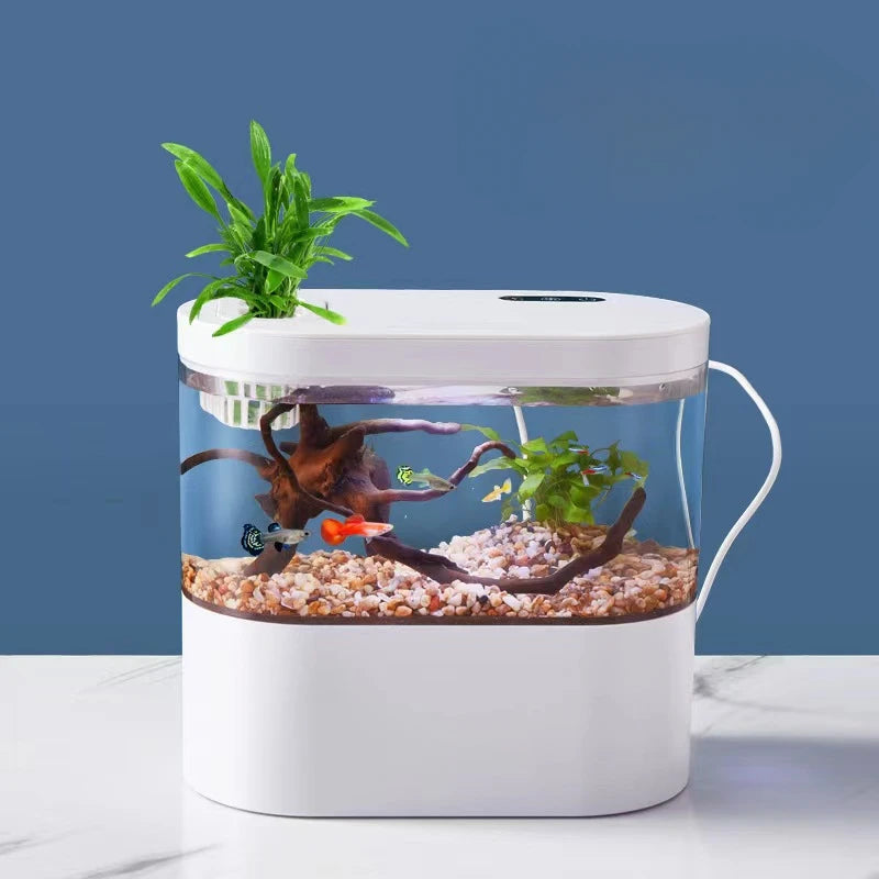 Desktop Creative Mini Aquarium with Biochemical Filtration and LED Light