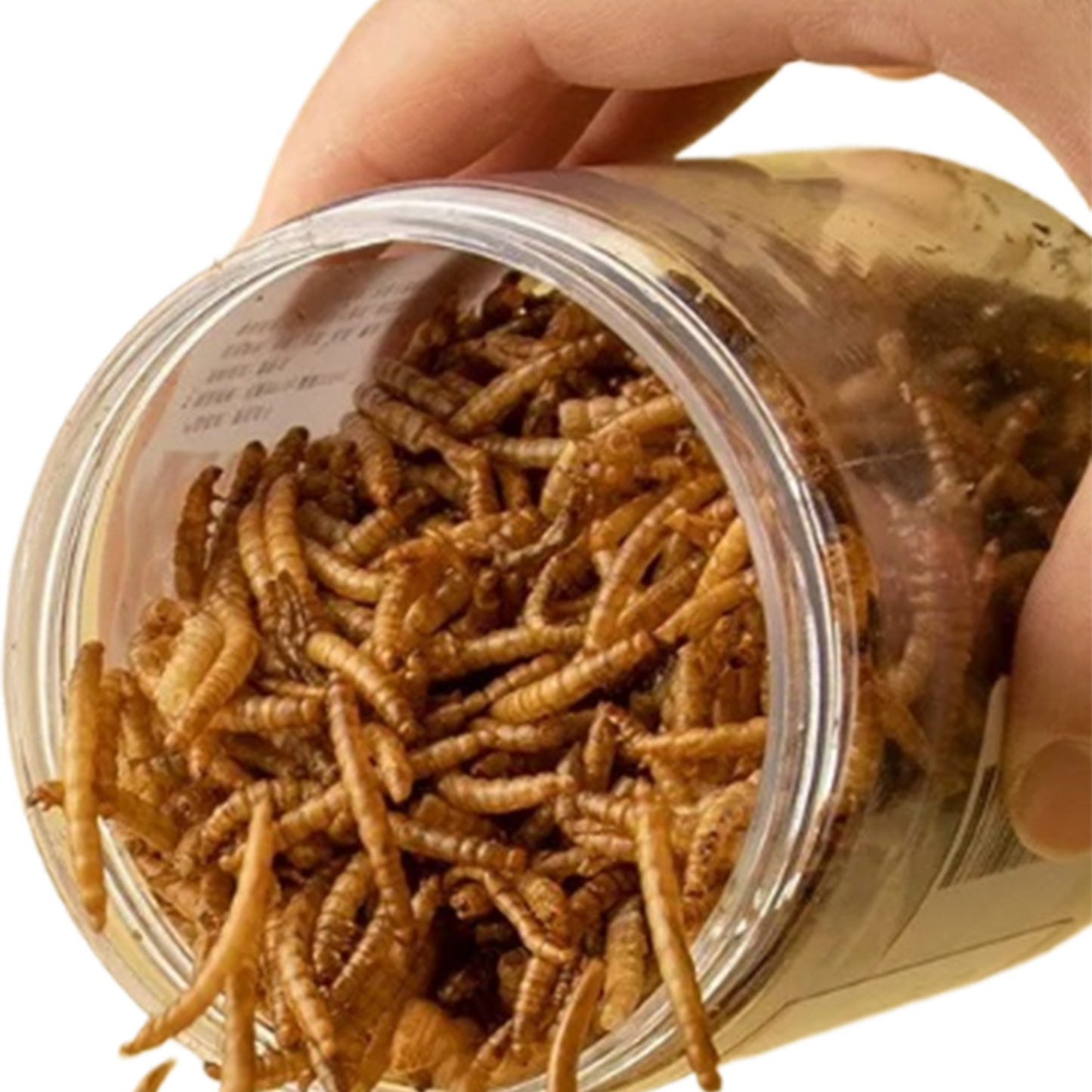 1.1lb - 2.2lb Premium Freeze Dried Mealworms