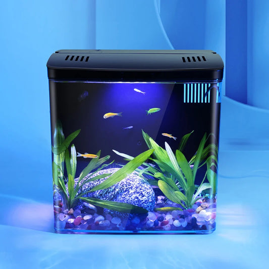 Fish Tank Living Room Small Mini Douyu Tank Household Tabletop Ecological Tank with Self-Circulating Back Filter for Goldfish