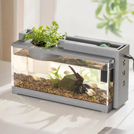 Compact Desktop Aquarium with Built In Oxygen Bar and USB Mute Filter