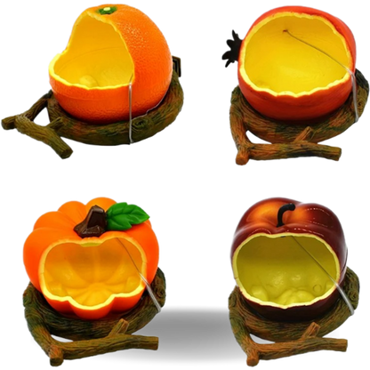 Parrot Fruit Shape Feeder  Fun and Colorful Feeding Container