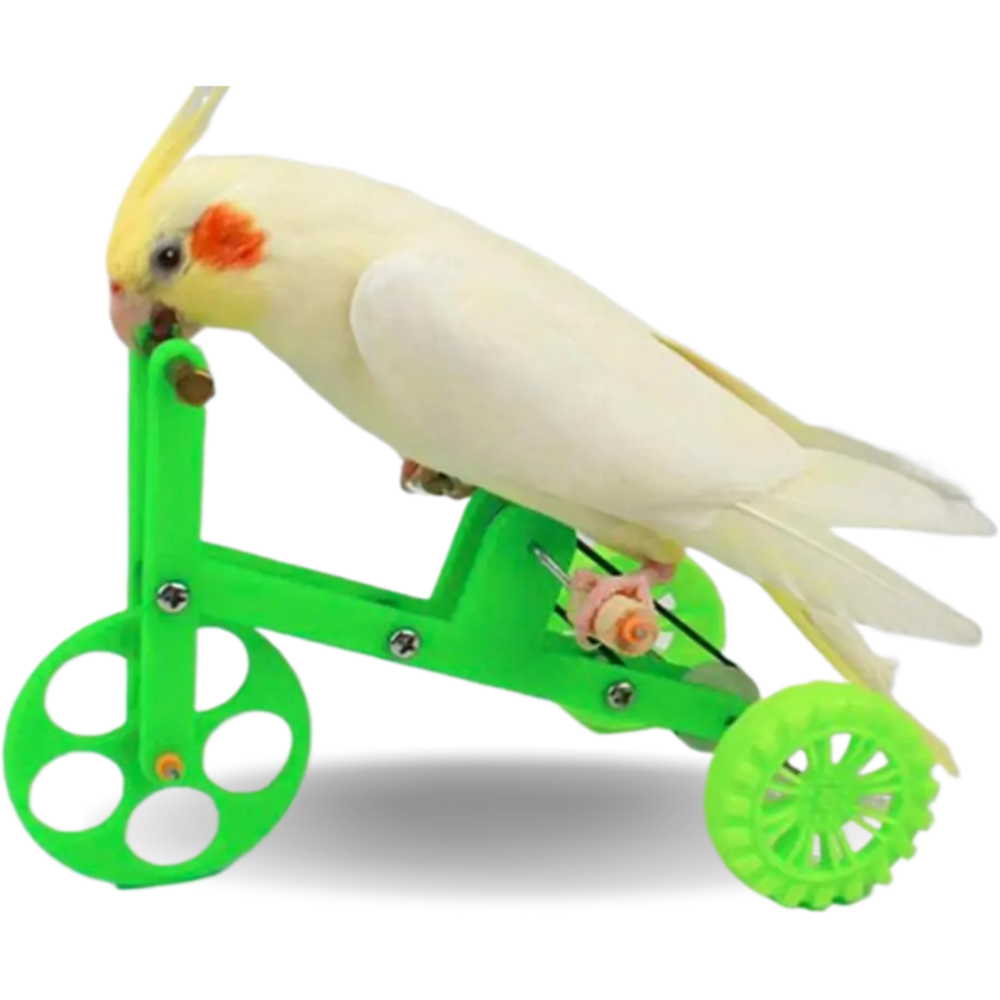 Parrot Green Bike Toy  Fun and Interactive Accessories for Birds