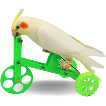 Parrot Green Bike Toy  Fun and Interactive Accessories for Birds