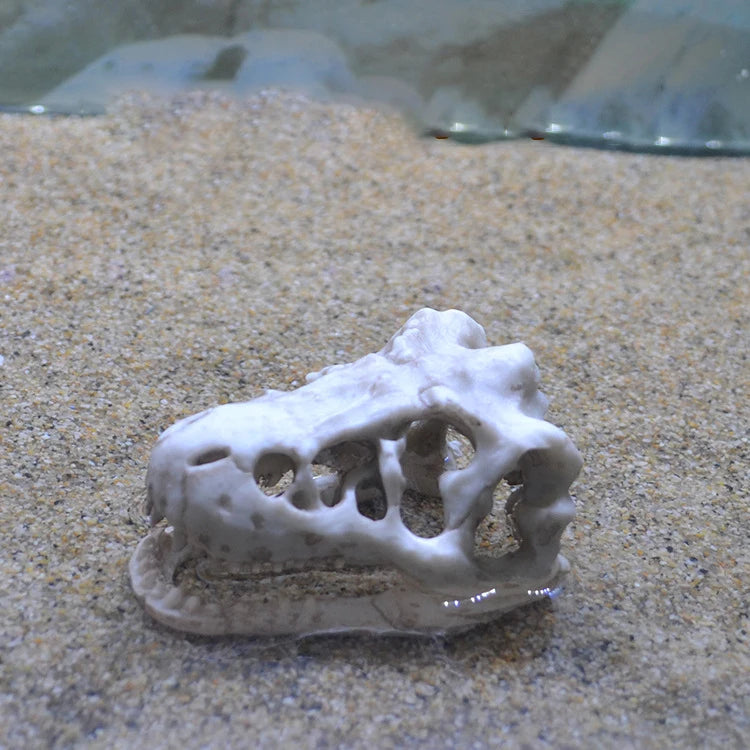 Dragon Resin Crocodile Skull Aquarium Decoration Unique Fish Tank Resin Ornament