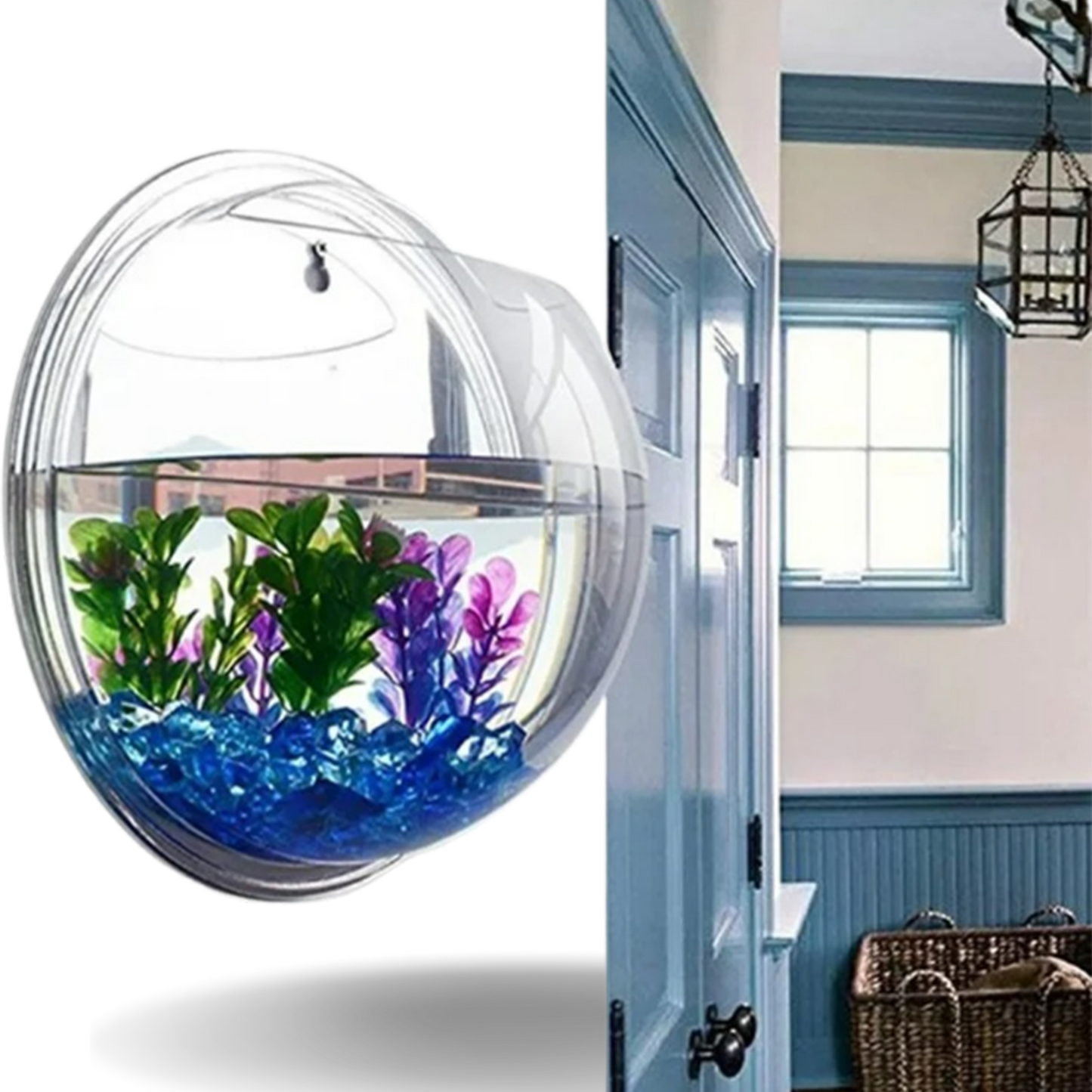 Elegant 12 Inch Wall Mounted Fish Bowl