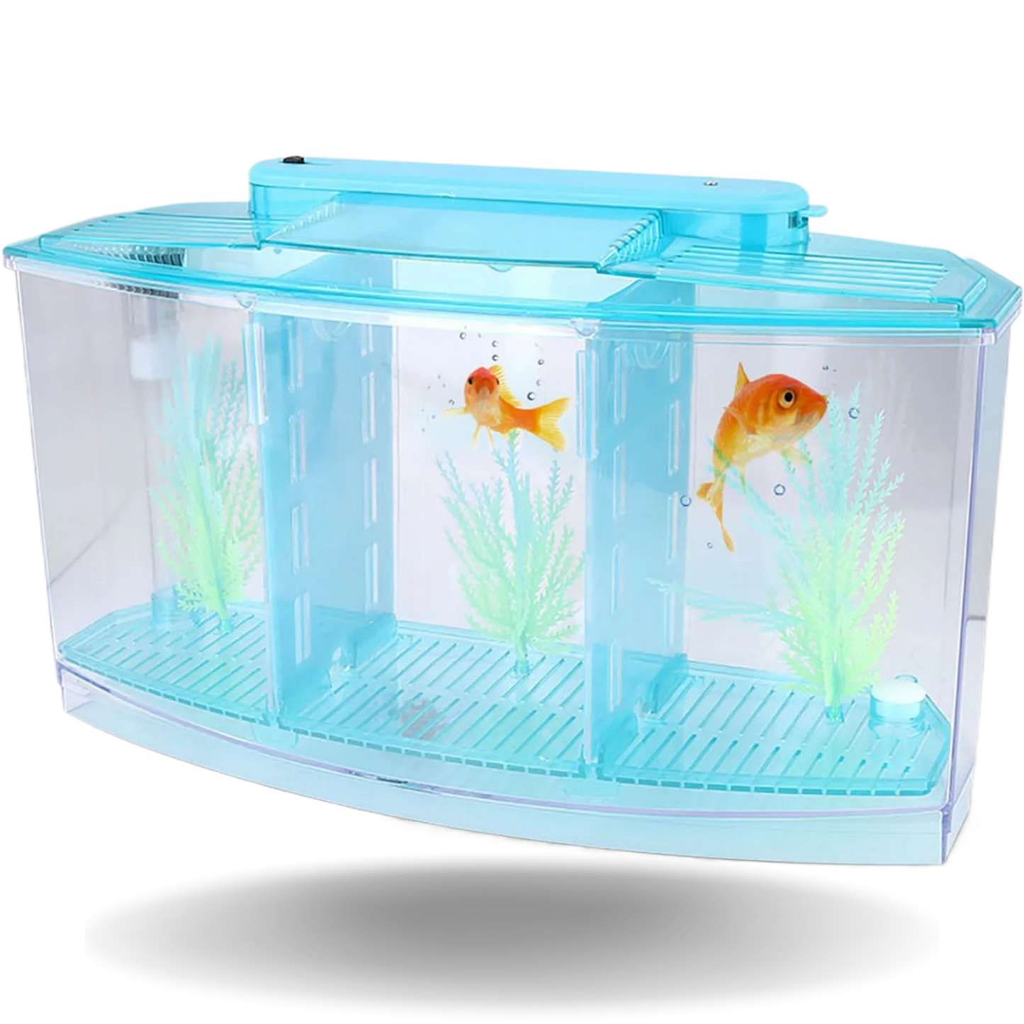 LED Acrylic Aquarium Breeding Isolation Box with Three Divisions for Small Fish Mini Breeding Tank for Baby Fish and Tiny Aquarium Species