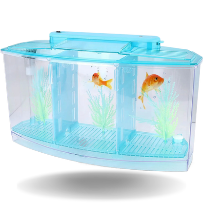 LED Acrylic Aquarium Breeding Isolation Box with Three Divisions for Small Fish Mini Breeding Tank for Baby Fish and Tiny Aquarium Species