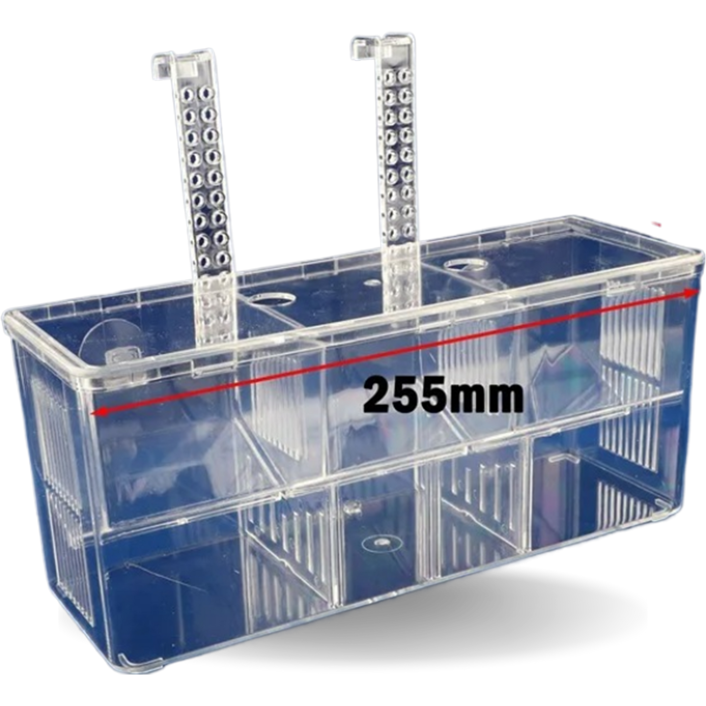 Aquarium Isolation and Quarantine Fish Tank for Safe and Secure Fish Care