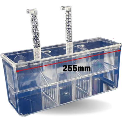 Aquarium Isolation and Quarantine Fish Tank for Safe and Secure Fish Care