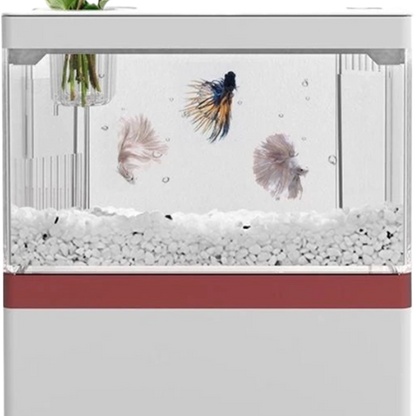 Desktop USB Mini Aquarium with LED Lamp Light, Phone Holder, and Betta Fish-Friendly Cylinder Design for a Creative Workspace