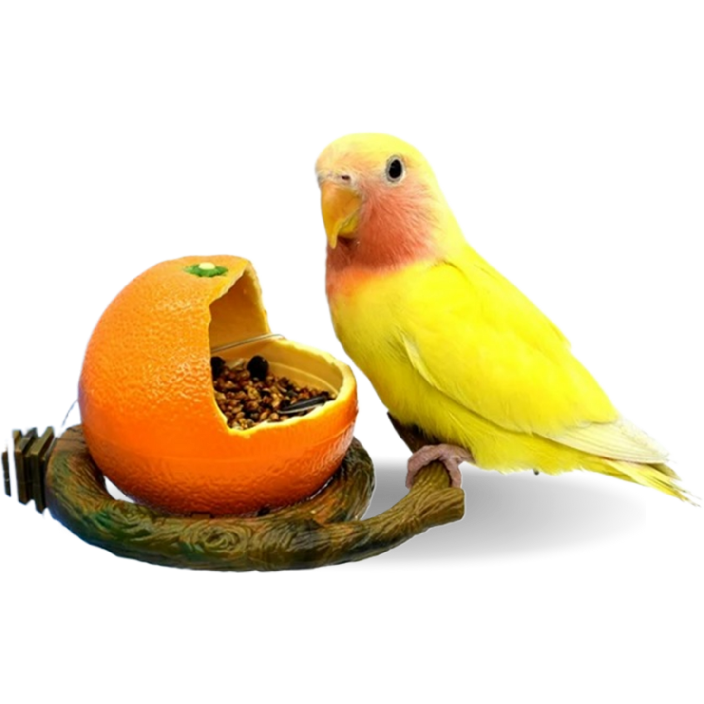 Parrot Fruit Shape Feeder  Fun and Colorful Feeding Container