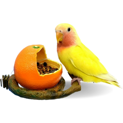 Parrot Fruit Shape Feeder  Fun and Colorful Feeding Container