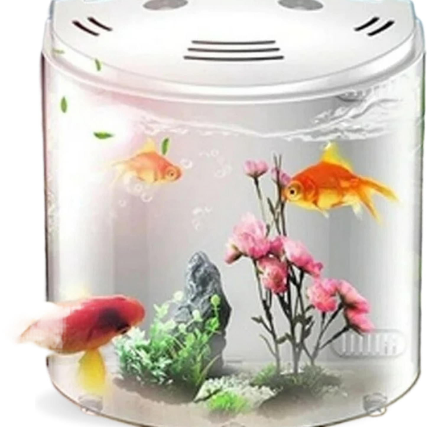 5L Self Cleaning Aquarium Set with Built-In Filter Fish Tank for Desktop