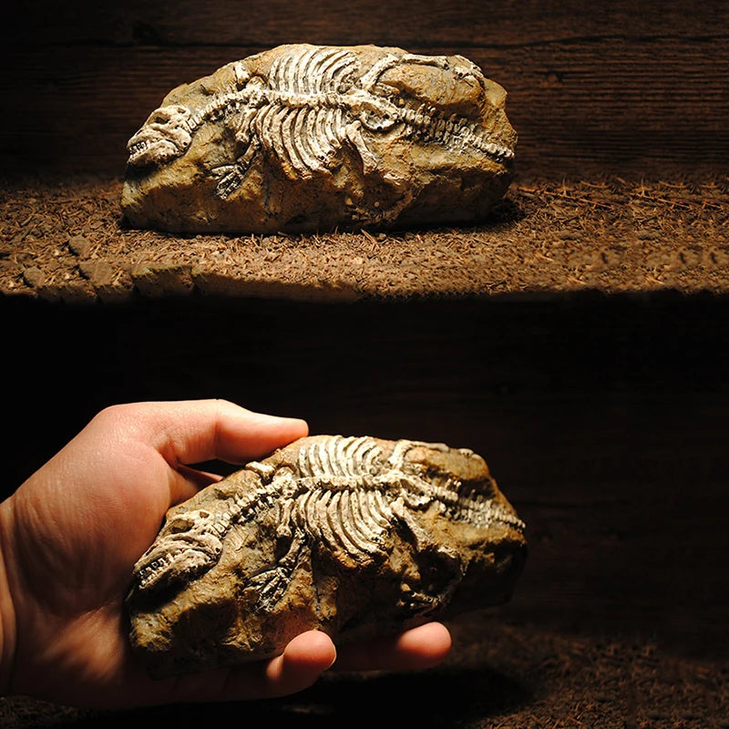 Simulated Resin Fossil Aquarium Decoration Unique Fish Tank Ornament Shrimps Small Fish Reptile Aquarium Shelter Landscape Decor