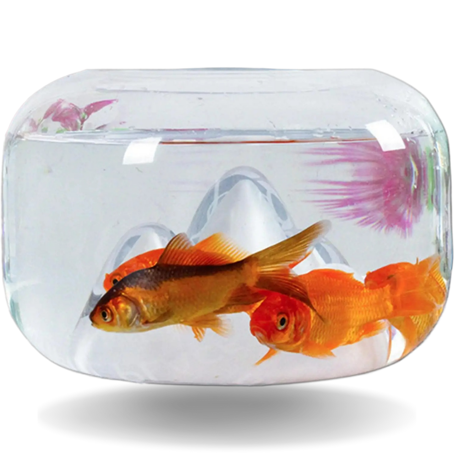 New Unique Mini Fish Bowls Aquarium for Home and Office Decor