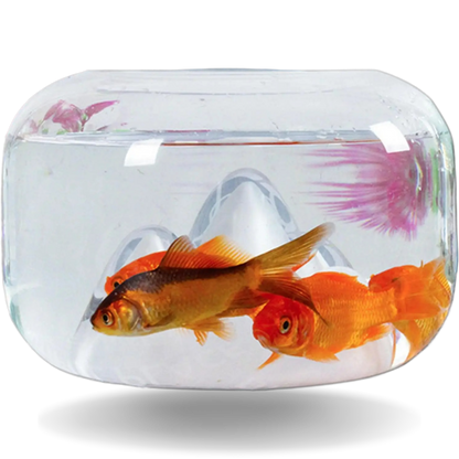 New Unique Mini Fish Bowls Aquarium for Home and Office Decor