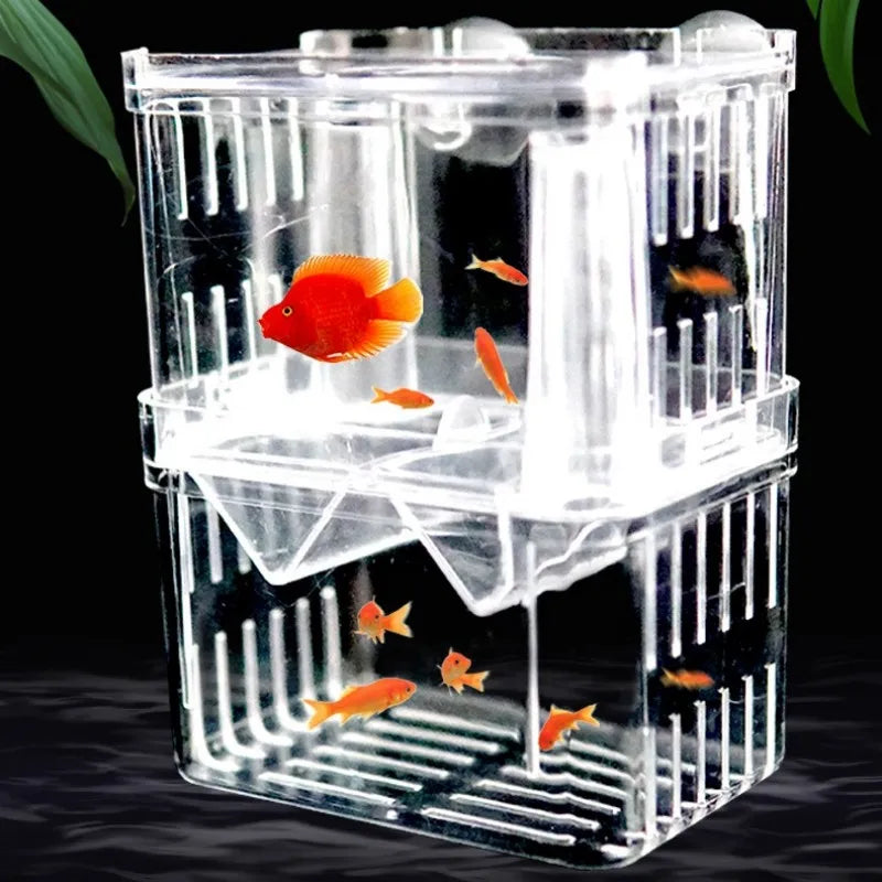 Acrylic Double Deck Aquarium Fish Breeding Isolation Box