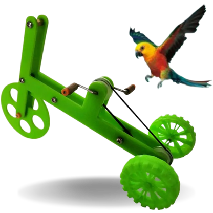 Parrot Green Bike Toy  Fun and Interactive Accessories for Birds