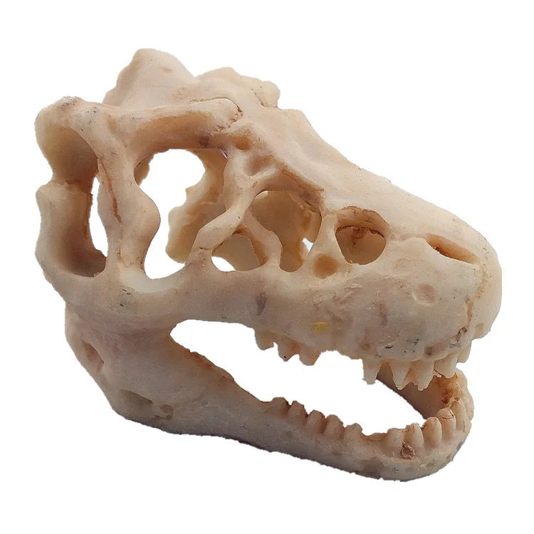 Dragon Resin Crocodile Skull Aquarium Decoration Unique Fish Tank Resin Ornament