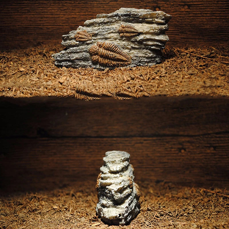 Simulated Resin Fossil Aquarium Decoration Unique Fish Tank Ornament Shrimps Small Fish Reptile Aquarium Shelter Landscape Decor