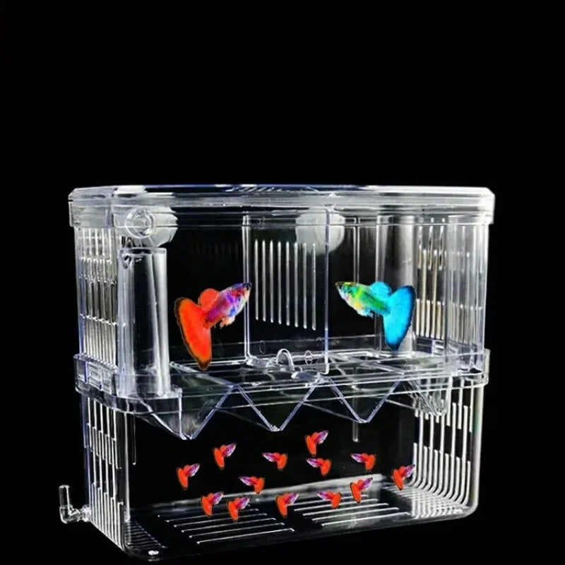 Acrylic Double Deck Aquarium Fish Breeding Isolation Box