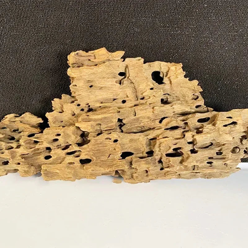 Natural Porous Wooden DriftWood Aquarium & Reptile Decoration DIY Landscaping Essential Fish Tank Decorations Accessories