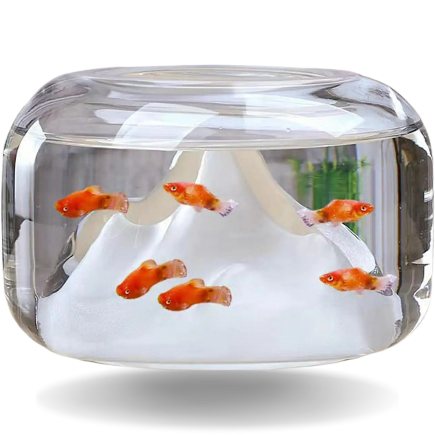 New Unique Mini Fish Bowls Aquarium for Home and Office Decor