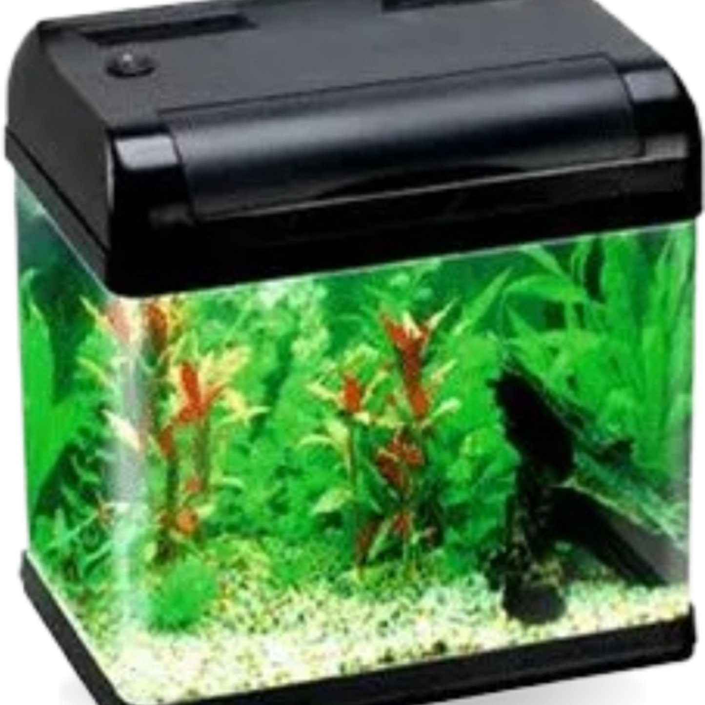 Nutrient Rich Substrate Soil for Healthy Aquarium Plants