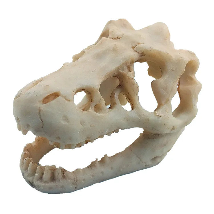 Dragon Resin Crocodile Skull Aquarium Decoration Unique Fish Tank Resin Ornament