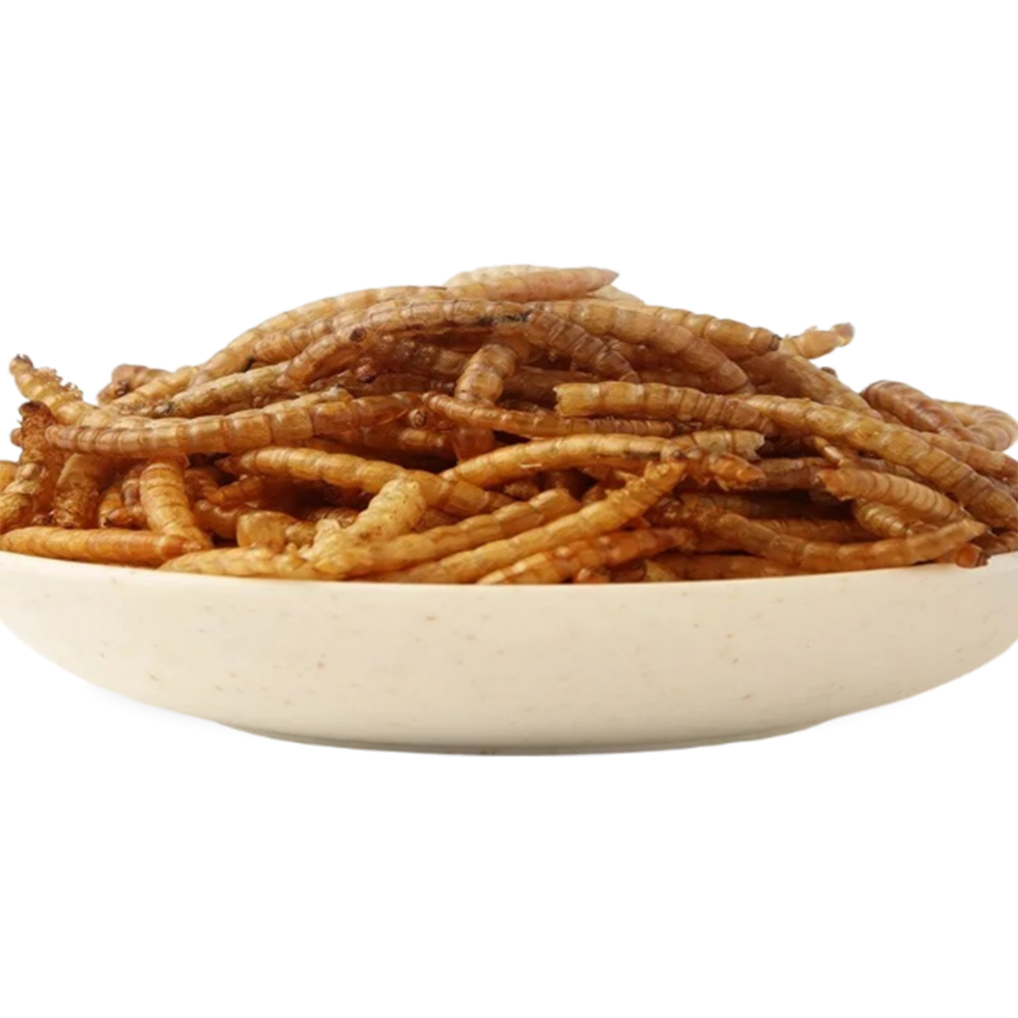 1.1lb - 2.2lb Premium Freeze Dried Mealworms