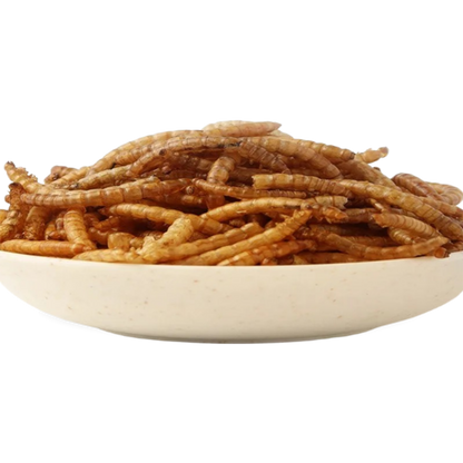 1.1lb - 2.2lb Premium Freeze Dried Mealworms