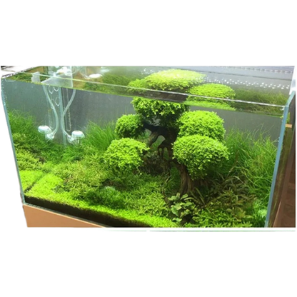 Nutrient Rich Substrate Soil for Healthy Aquarium Plants