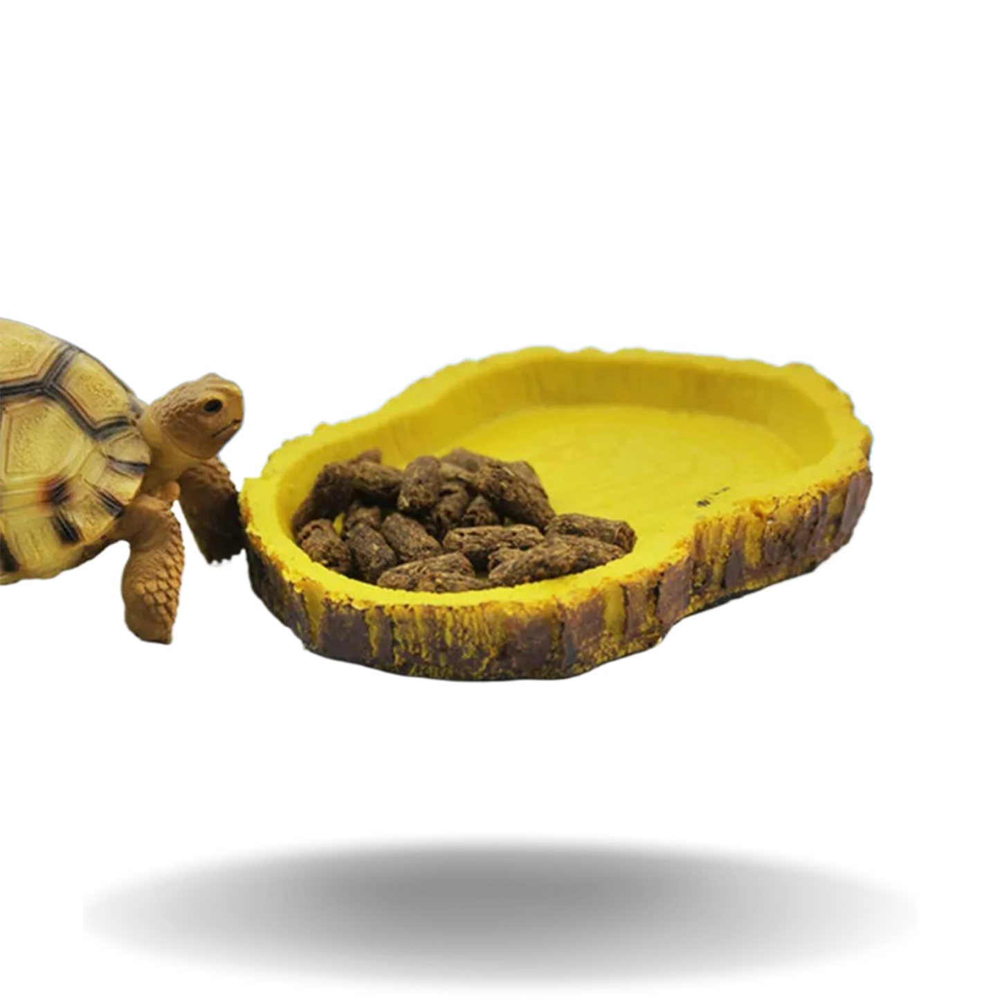 Pet Reptile Resin Feeding Dish Bowl Container for Turtles, Lizards, and Geckos