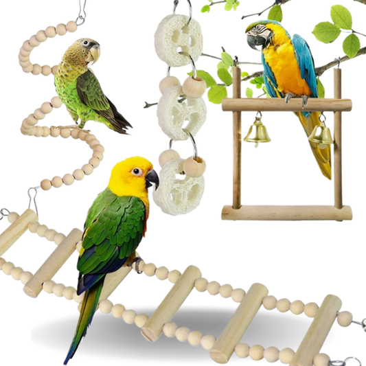 8 Pieces Parrot Toy Set  Swing, Chewing, and Rack Accessories