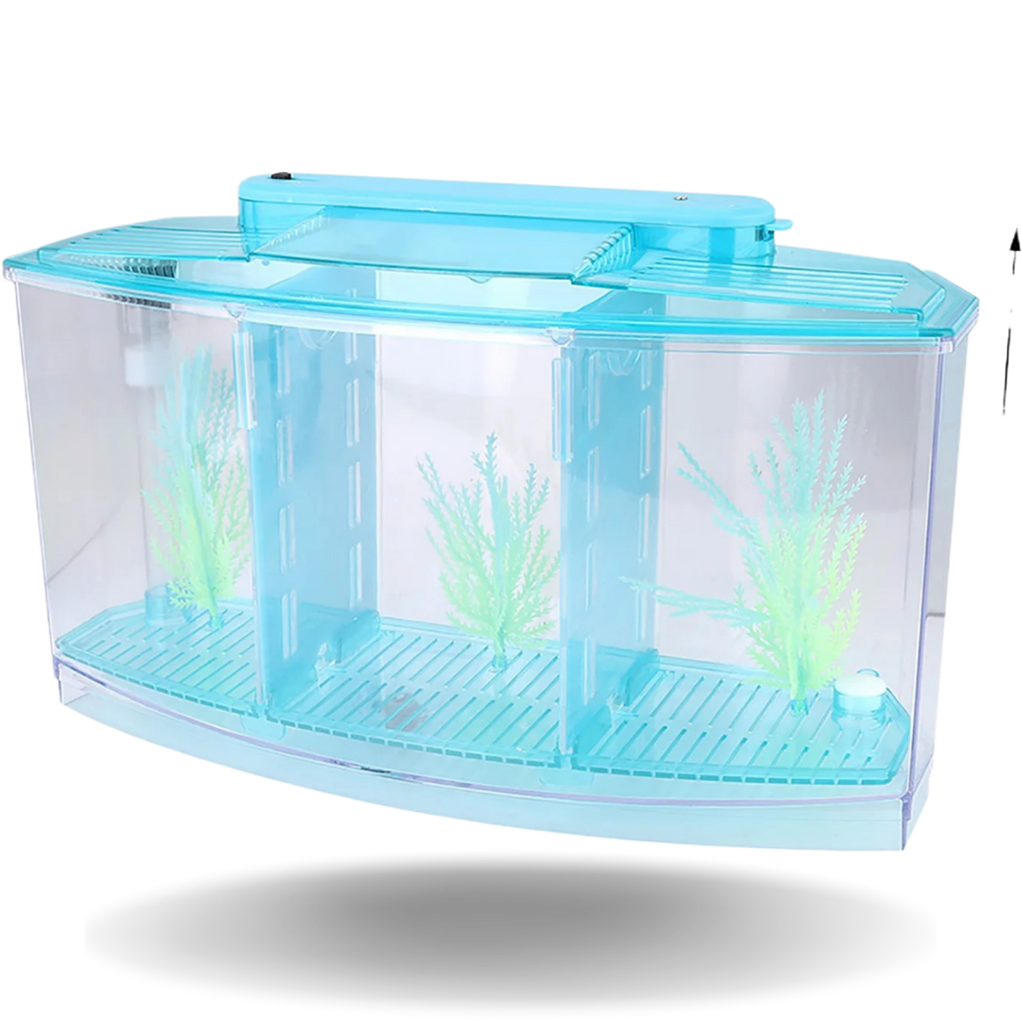 LED Acrylic Aquarium Breeding Isolation Box with Three Divisions for Small Fish Mini Breeding Tank for Baby Fish and Tiny Aquarium Species