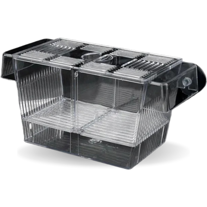 Aquarium Isolation and Quarantine Fish Tank for Safe and Secure Fish Care