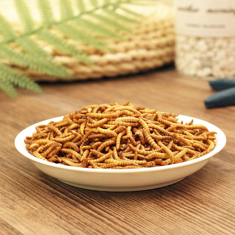 1.1lb - 2.2lb Premium Freeze Dried Mealworms