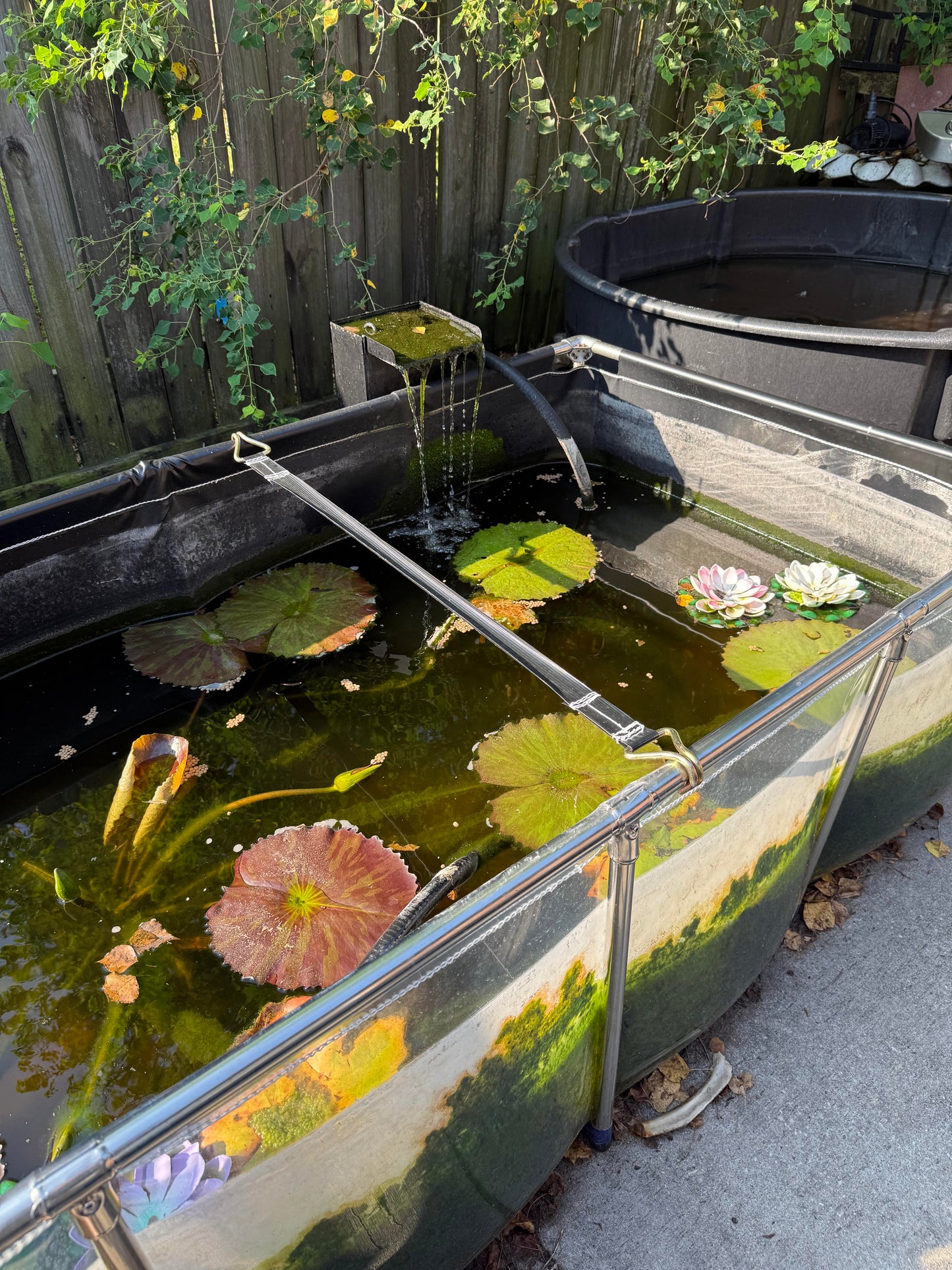 MK 75 Gallon Heavy-Duty Above Ground Fish Pond, Aquaculture & Fish Breeding Tank, Large Aquarium (39.4 x 31.5 x 13.8 in)
