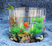Load image into Gallery viewer, Acrylic Cyclinder Home Office Decoration Mini Aquarium Fish Tank
