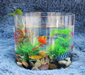 Acrylic Cyclinder Home Office Decoration Mini Aquarium Fish Tank – MK  Aquarium Store