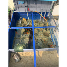 Load image into Gallery viewer, 75-2000 Gallons Aquaculture Aquaponic Breeding Fish Farms Aquarium Pond Fish Tank
