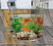 Load image into Gallery viewer, Acrylic Cyclinder Home Office Decoration Mini Aquarium Fish Tank
