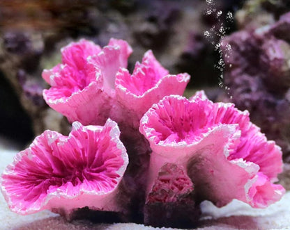 Resin Artificial Aquarium Fish Tank Decoration  Realistic Fox Coral