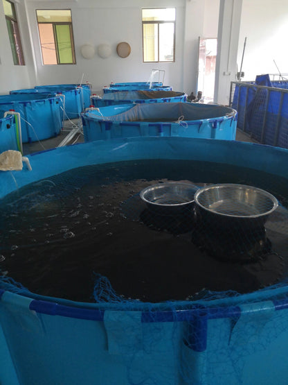 180-300 Gallons Round Aquaculture Aquaponic Breeding Fish Farms Aquarium Pond Fish Tank