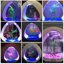 Load image into Gallery viewer, Acrylic Small Aquarium Fish Tank Starter Kit 1.5 Gallons - MK Aquarium Store

