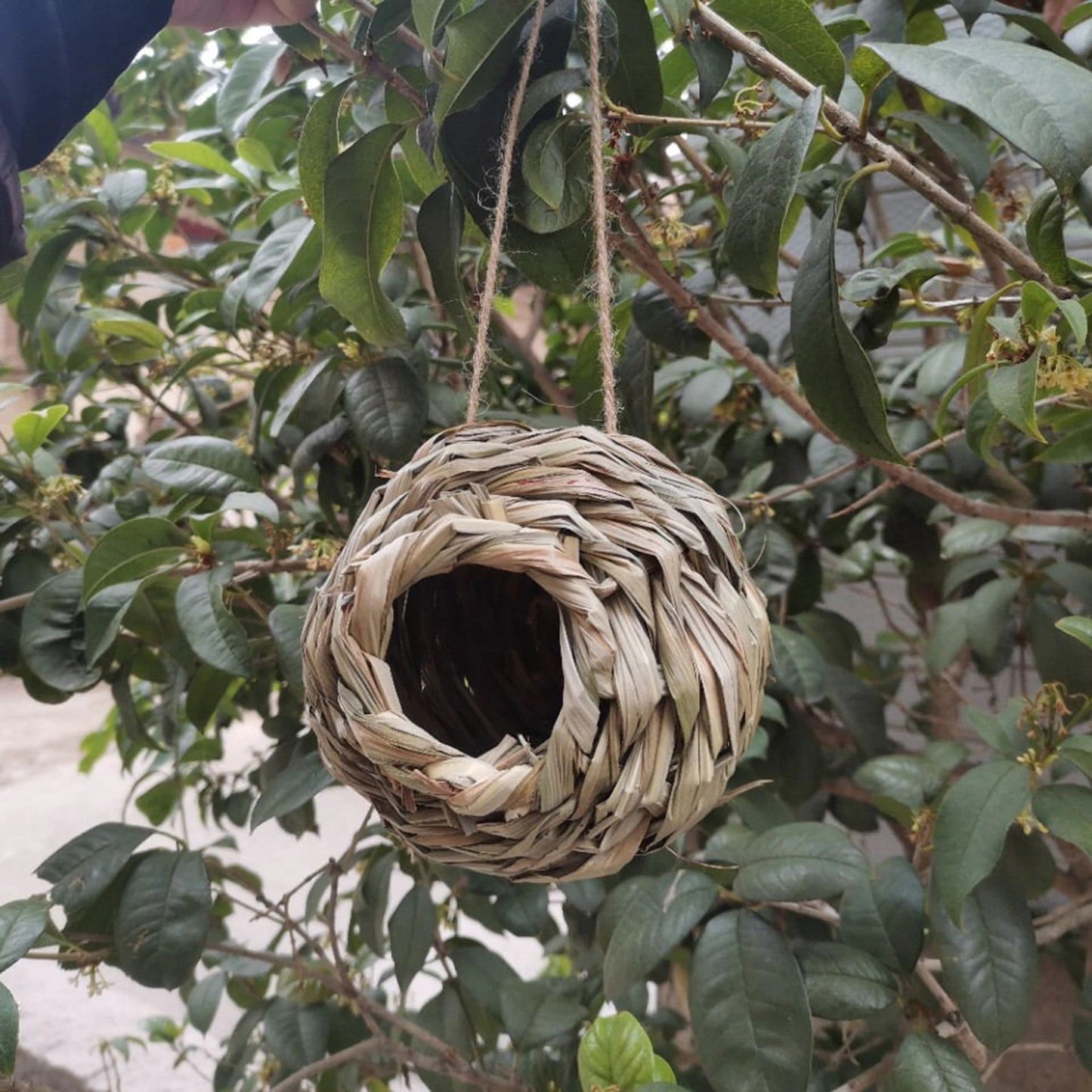 Bird Nest Natural Grass Straw House Cage  Eco-Friendly Hanging Birdhouse