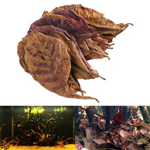 Load image into Gallery viewer, 10pcs Indian Almond Leaves for Betta Fish Aquarium
