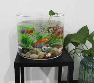 Acrylic Cyclinder Home Office Decoration Mini Aquarium Fish Tank