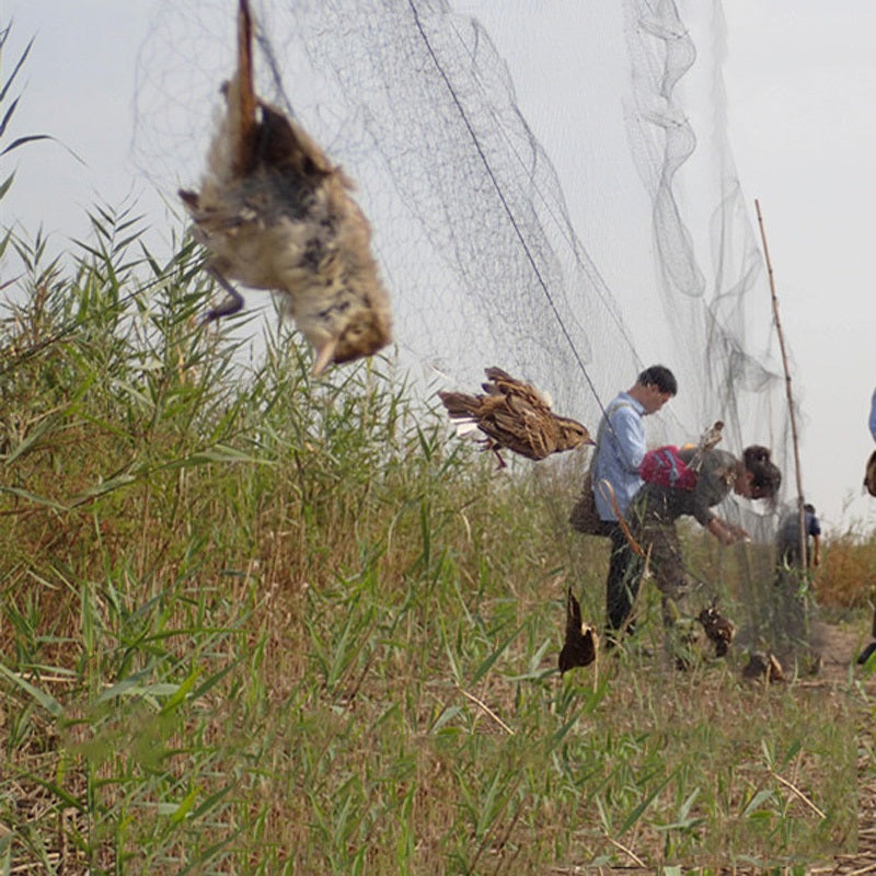 Durable Anti-Bird Netting Roll for Pond, Aquaculture, and Garden Protection